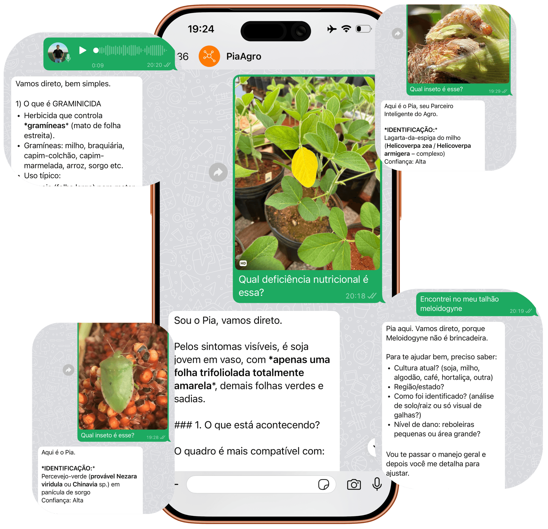 Exemplos reais de conversas no PiaAgro - identificação de pragas, análise de solo, consultoria agronômica