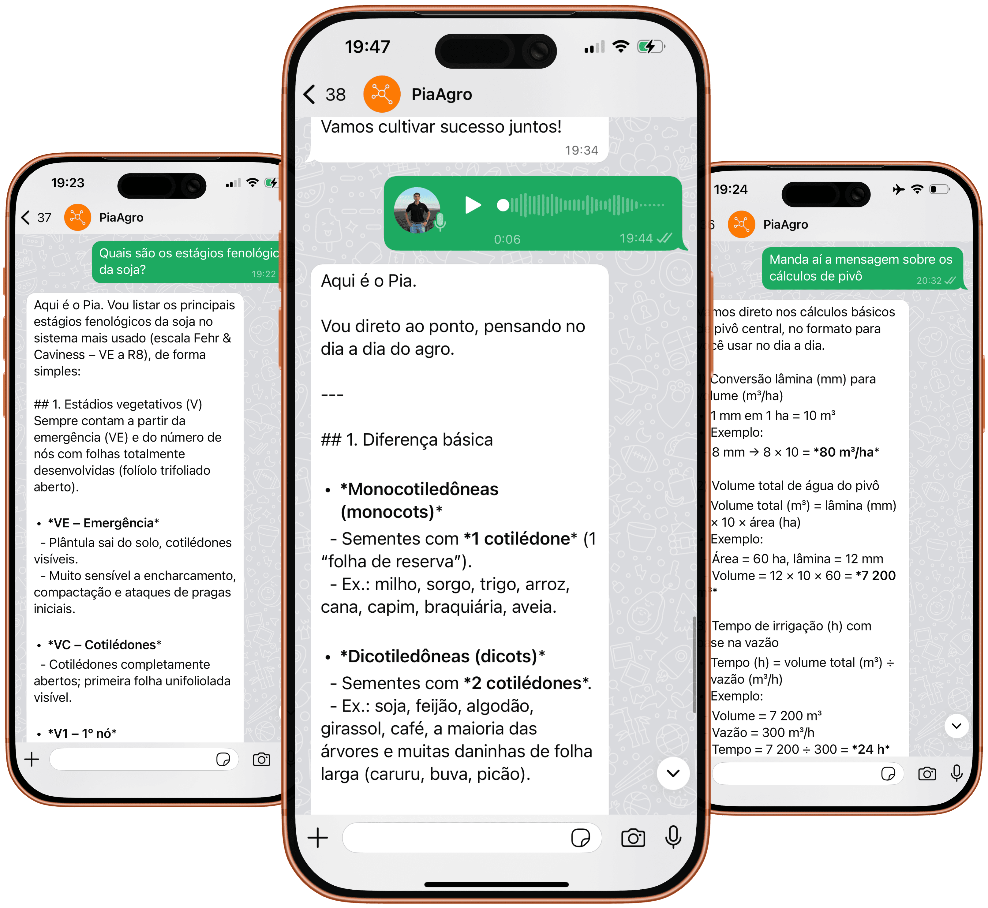 PiaAgro no WhatsApp - Exemplos de uso real
