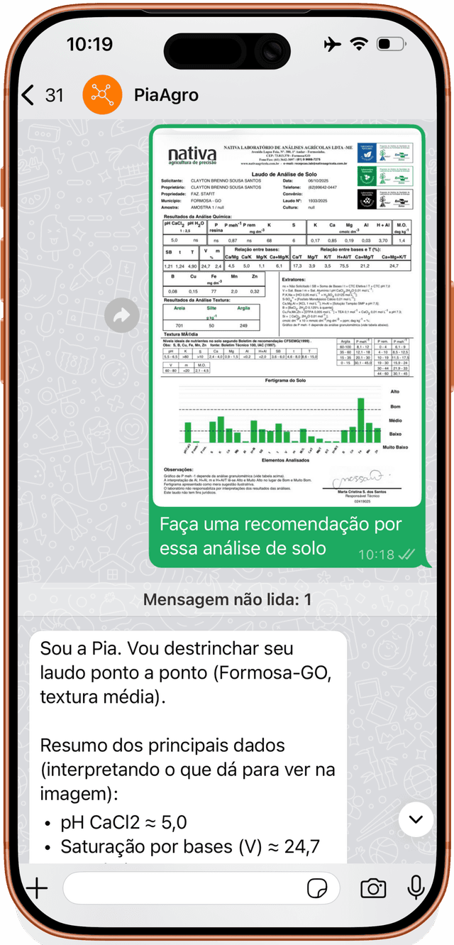 Exemplo de Análise de Laudos