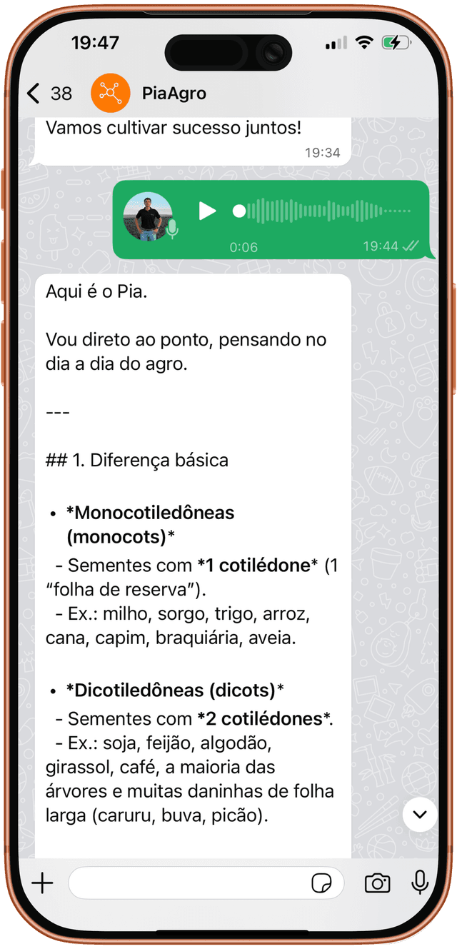 Exemplo de Reconhecimento de Áudio