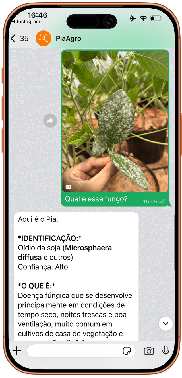 Exemplo de Chat Agronômico Inteligente